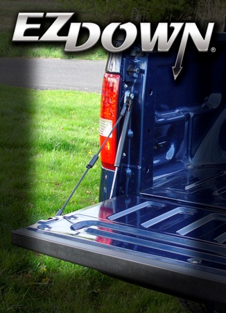 Tail Gate Damper