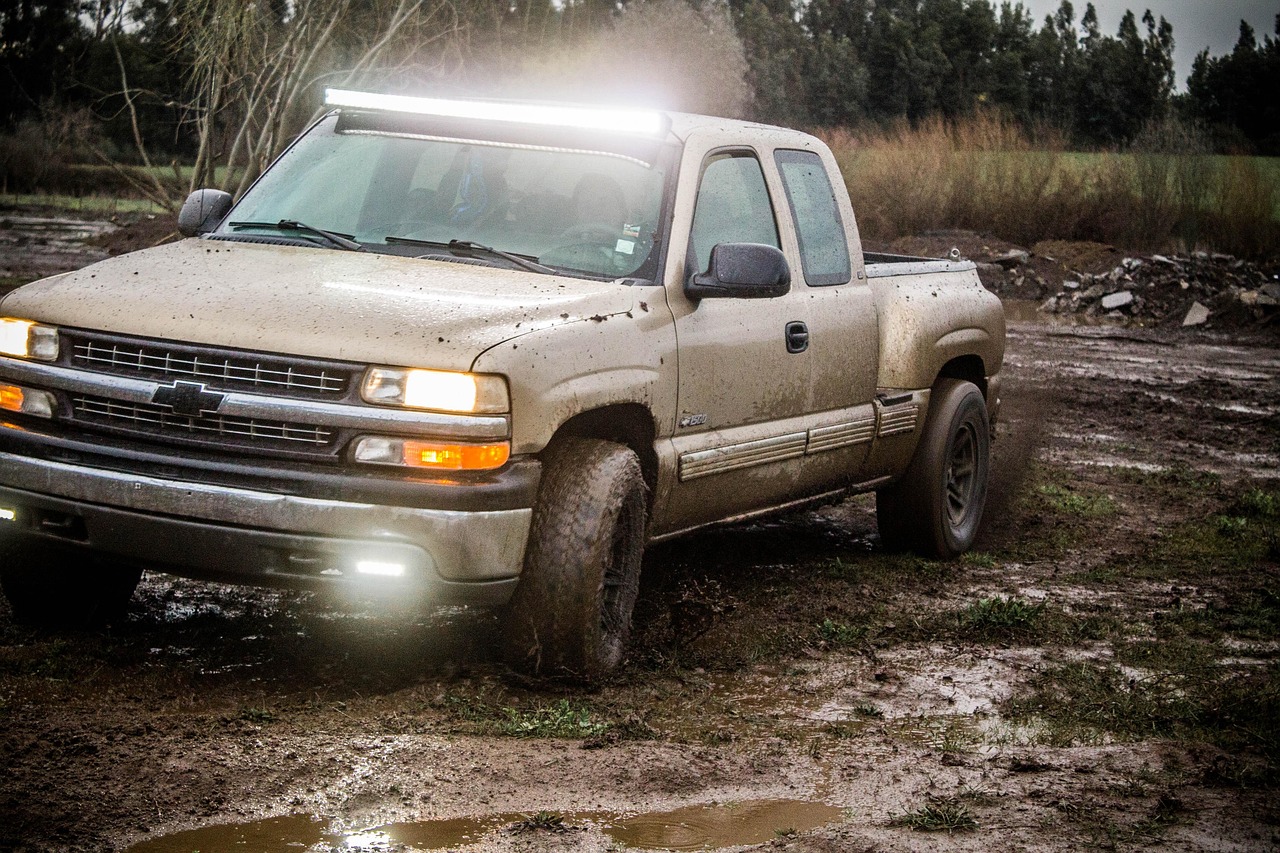 Hood for a 1999 Chevy Silverado
